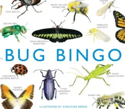 Brumby - Bingo - Bug
