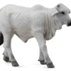 Collecta - Brahman Calf Grey