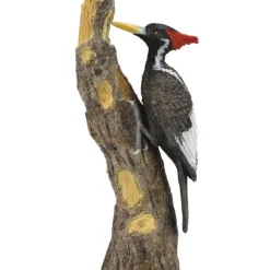 Collecta - Ivory-Billed Woodpecker