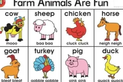 Edvantage - Placemat - Farm Animals are Fun