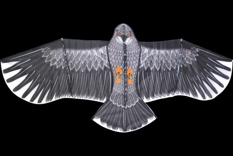 High as a Kite - Super Eagle Kite
