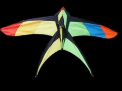 High As A Kite - Swallow Tail Kite
