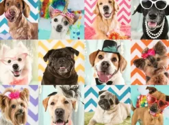 Ravensburger - 100Pc Doggy Disguise Puzzle