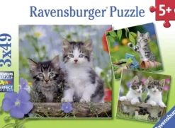Ravensburger - 3 x 49Pc Kittens Puzzle