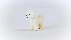 Schleich - Bichon Frise