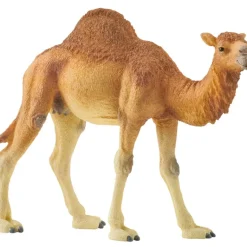 Schleich - Dromedary Camel