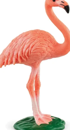Schleich - Flamingo