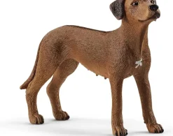 Schleich - Rhodesian Ridgeback