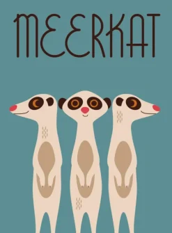 Animals (Hard Back)