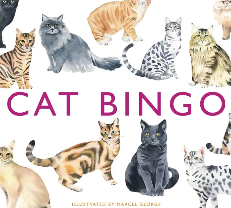 Brumby - Bingo - Cat