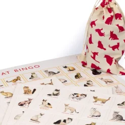 Brumby - Bingo - Cat