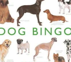 Brumby - Bingo - Dog