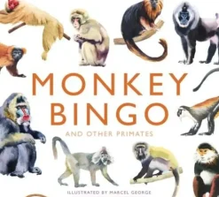 Brumby - Bingo - Monkey