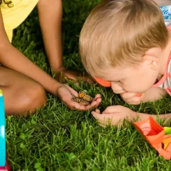 B. toys – Bug Bungalow