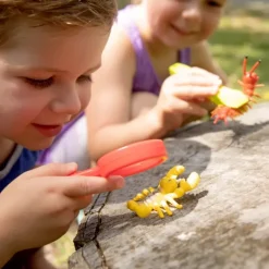 B. toys – Little Explorer