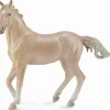 Collecta - Akhal-Teke Mare Perlino