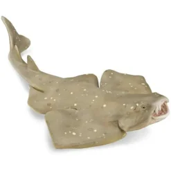 Collecta - Angel Shark