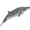 Collecta - Blainvilles Beaked Whale