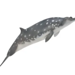 Collecta - Blainvilles Beaked Whale