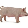 Collecta - Boar