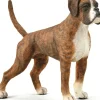 Collecta - Boxer