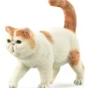 Collecta - Cat Exotic Shorthair