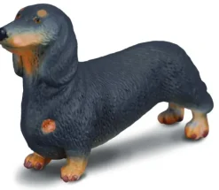 Collecta - Dachshund