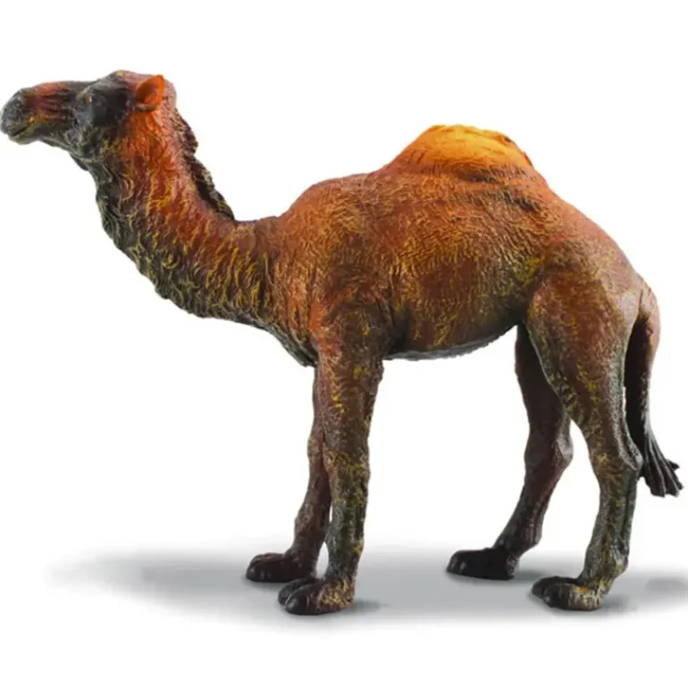 Collecta - Dromedary Camel