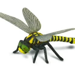 Collecta - Golden Ringed Dragonfly