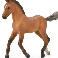 Collecta - Hanoverian Foal Bay