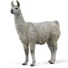 Collecta - Llama