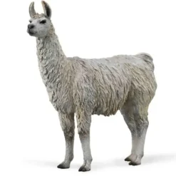 Collecta - Llama