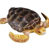 Collecta - Loggerhead Turtle