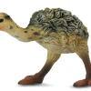 Collecta - Ostrich Chick Walking