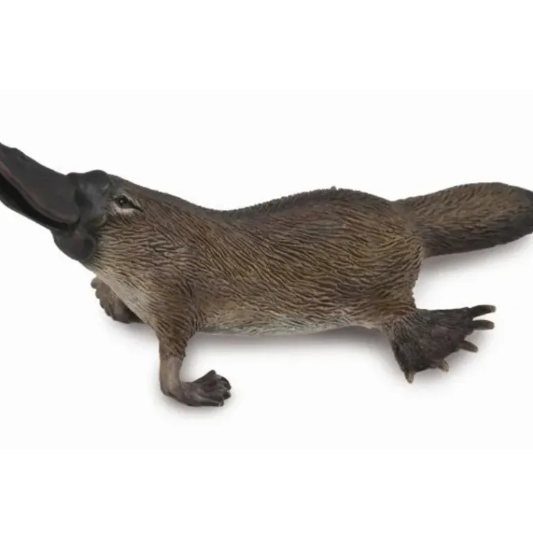 Collecta - Platypus