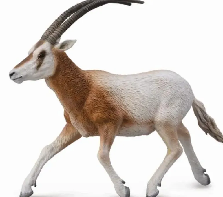 Collecta - Scimitar-Horned Oryx
