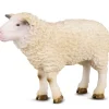 Collecta - Sheep