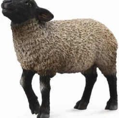 Collecta - Suffolk Sheep