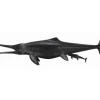 Collecta - Temnodontosaurus Platyodon Birthing