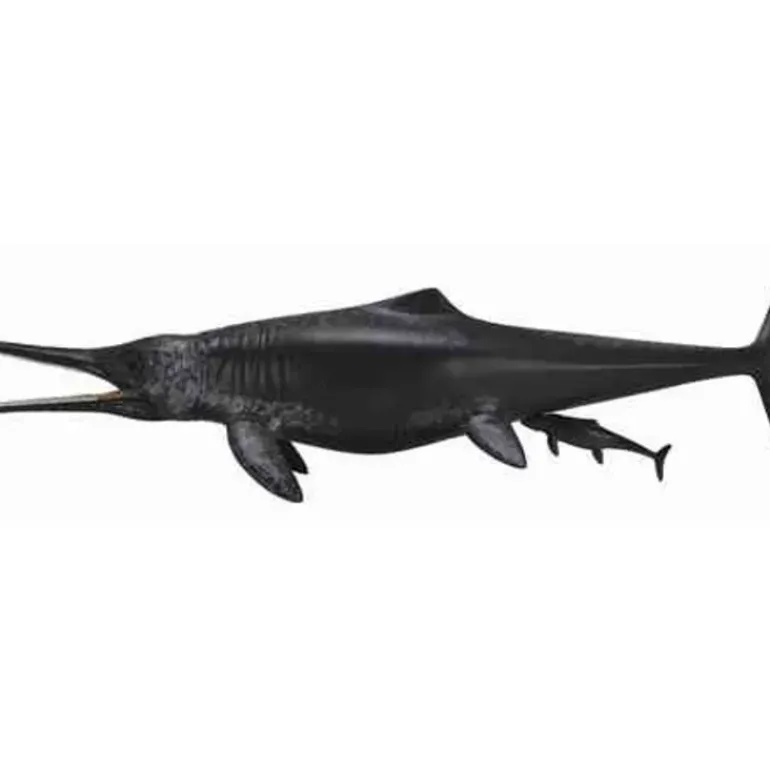 Collecta - Temnodontosaurus Platyodon Birthing