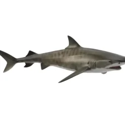 Collecta - Tiger Shark