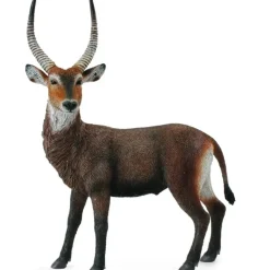 Collecta - Waterbuck