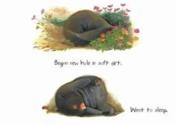 Diary of a Wombat (Board Book)