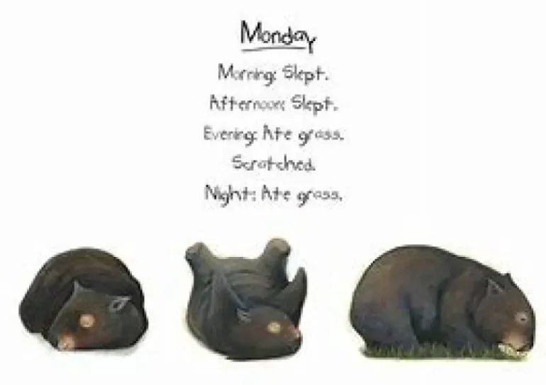 Diary of a Wombat (Board Book)