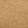 Edvantage - Corkboard 300x225x10