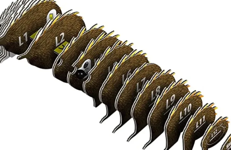 EUGY - Echidna 3D Puzzle