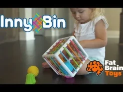Fat Brain - Inny Bin