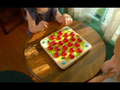 Fat Brain - ladybug Memory Game