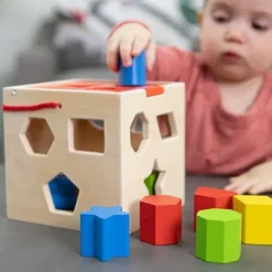 Fat Brain - Take Along Shape Sorter