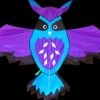 High as a Kite - Owl Kite